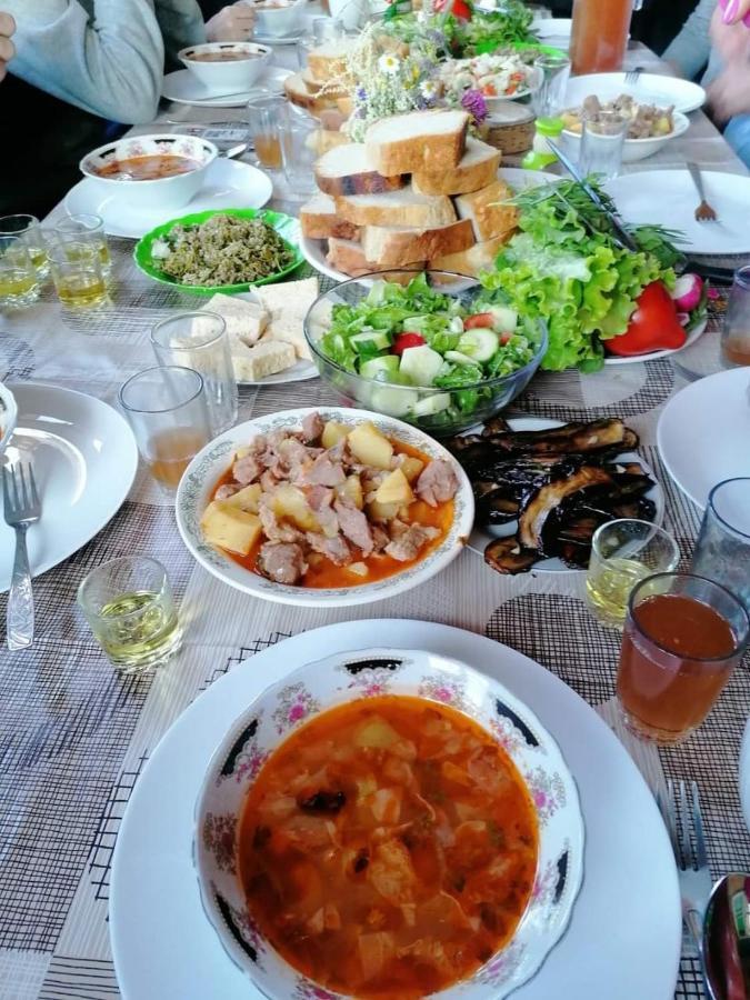 Guesthouse Sagrila Omalo Dış mekan fotoğraf