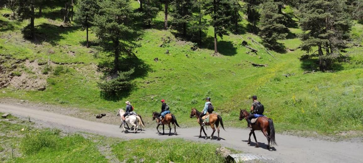 Guesthouse Sagrila Omalo Dış mekan fotoğraf